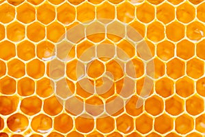 Background texture and pattern of a section of wax honeycomb from a bee hive filled with golden honey