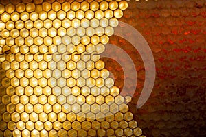 Background texture and pattern of a section of wax honeycomb from a bee hive filled with golden honey. bee products by organic