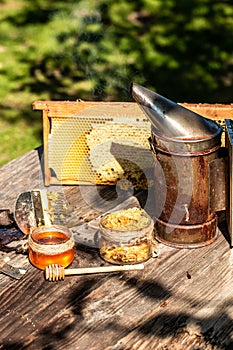 Background texture and pattern of a section of wax honeycomb from a bee hive filled with golden honey. bee products by organic