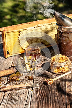 Background texture and pattern of a section of wax honeycomb from a bee hive filled with golden honey. bee products by organic