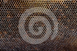 Background texture and pattern of a section of wax honeycomb from a bee hive filled with golden honey in a full frame view