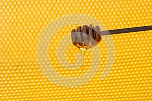 Background texture and pattern of a section of wax honeycomb from a bee hive filled without golden honey in a full frame view,