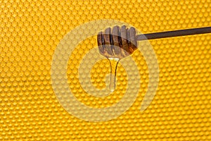 Background texture and pattern of a section of wax honeycomb from a bee hive filled without golden honey in a full frame view,