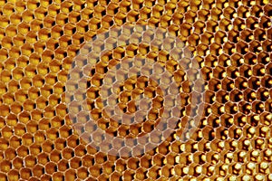 Background texture and pattern of a section of wax honeycomb from a bee hive filled with golden honey in macro view