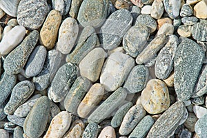 Background texture of pebble stones