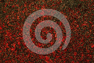 Background, texture - red-gray granite