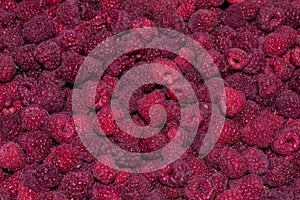 Background-texture of ripe raspberry Rubus idaeus, close-up. Soft selective focus