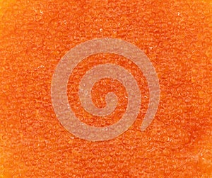 Background texture of salmon fish red caviar. Trout caviar texture pattern