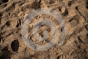 Background texture. Sand on the beach. Horizontal