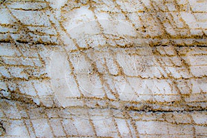 Background texture scrapings in adobe