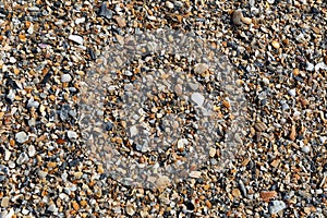Background texture of small and broken pieces of seashells and beach sand, coastal resort or retirement creative copy space