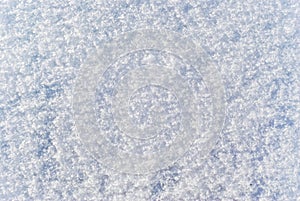 Background, texture: surface of freshly fallen snow