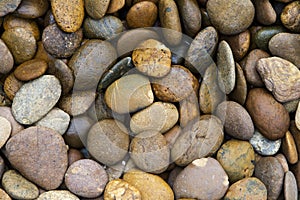 Background texture of swimming pool/garden pile of pebbles