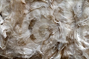 Background, texture of old glass wool.