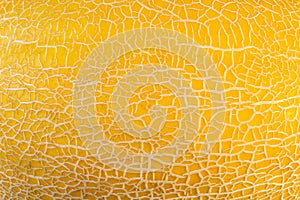 Background texture yellow melon peel