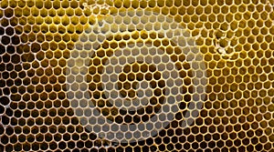 Background, textured black and yellow honeycombs. Bee honey frame, honeycomb wax. Beekeeping.