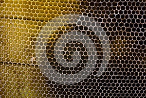 Background, textured black and yellow honeycombs. Bee honey frame, honeycomb wax. Beekeeping.