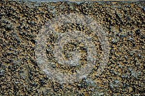 Textures of facade plaster. Textures of stone.
