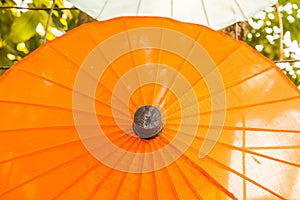 Background of Thai native umbrella