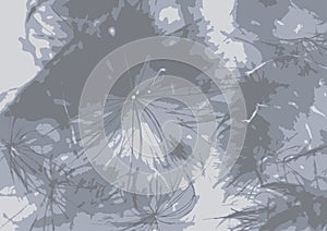 Background of a thistledown, gray. Vector