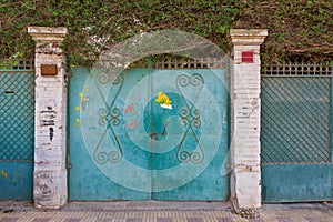 Background of green old weathered grunge antique wrought iron gates with floral pattern ornaments and two white bricks columns