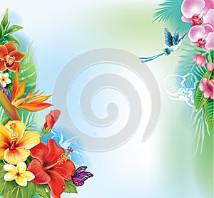 Background from tropical flowers