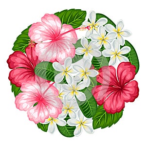 Background with tropical flowers hibiscus and plumeria. Image for design on t-shirts, prints, invitations, greeting