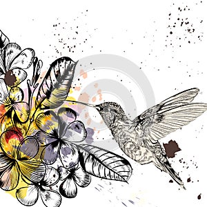 Background with tropical flowers and hummingbird