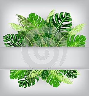 Background with Tropical jungle leaves