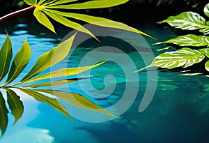 Background of tropical leaves with clear water in the background, concept of relaxation and cleanliness,