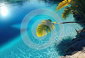 Background of tropical leaves with clear water in the background, concept of relaxation and cleanliness,