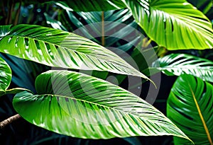 Background of tropical leaves with clear water in the background, concept of relaxation and cleanliness,