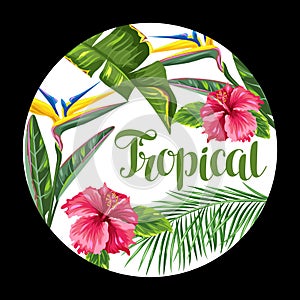 Background with tropical leaves and flowers. Palms branches, bird of paradise flower, hibiscus