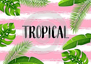 Background with tropical palm leaves. Exotic tropical plants. Illustration of jungle nature