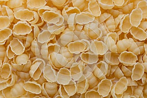 Background of uncooked pasta Conchiglie. Dry pasta in the shape of shells