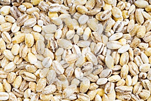 Background - uncooked pearled barley grains