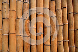 Background of united bamboo sticks for wallpaper, texture, for text photo