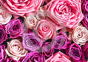 Background of various fresh pink roses. mixed rose bouquet for a wedding