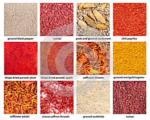 Background - various ground spices with names
