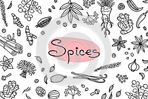 Background with various spices used in cooking and inscription for the design of menus, recipes and packaging products