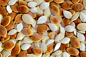 Various colorful fresh pumpkin seeds closeup.