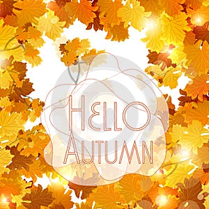 Background Vector Colorful autumn leaves.