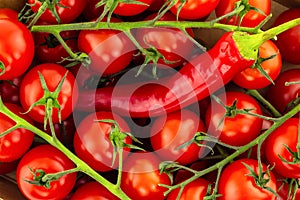 Background vegetable red tomato cherry mini on a branch chili close-up design vegetable bright delicious