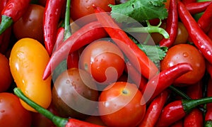 Background vegetable red tomato mini cherry and chili peppers