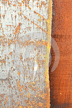 Background vertical image as a steel sheet