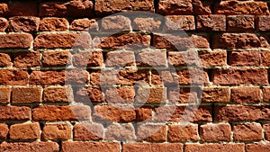 Background: a very old red-brown brick wall.