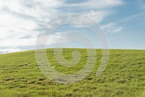 Background with view of empty golf