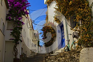 Background view of street with white houses entwined with flowering trees in CadaquÃ©s