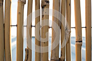 Background wall of bamboo sticks