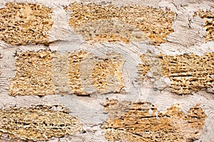 Background wall with shell rock. Old wall. Texture limestone